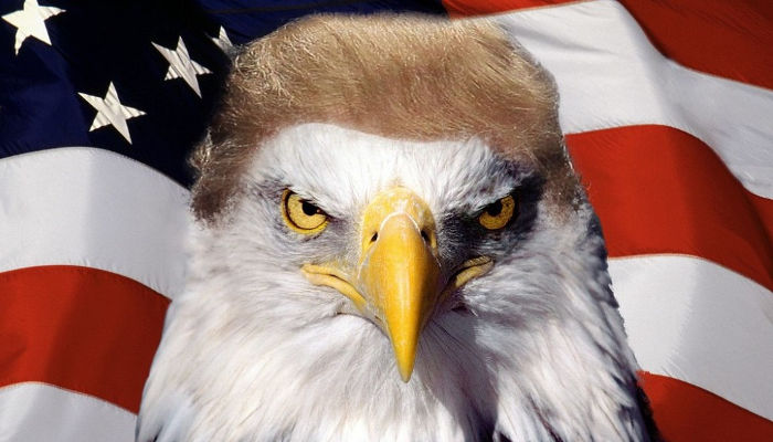 trump-eagle.jpg